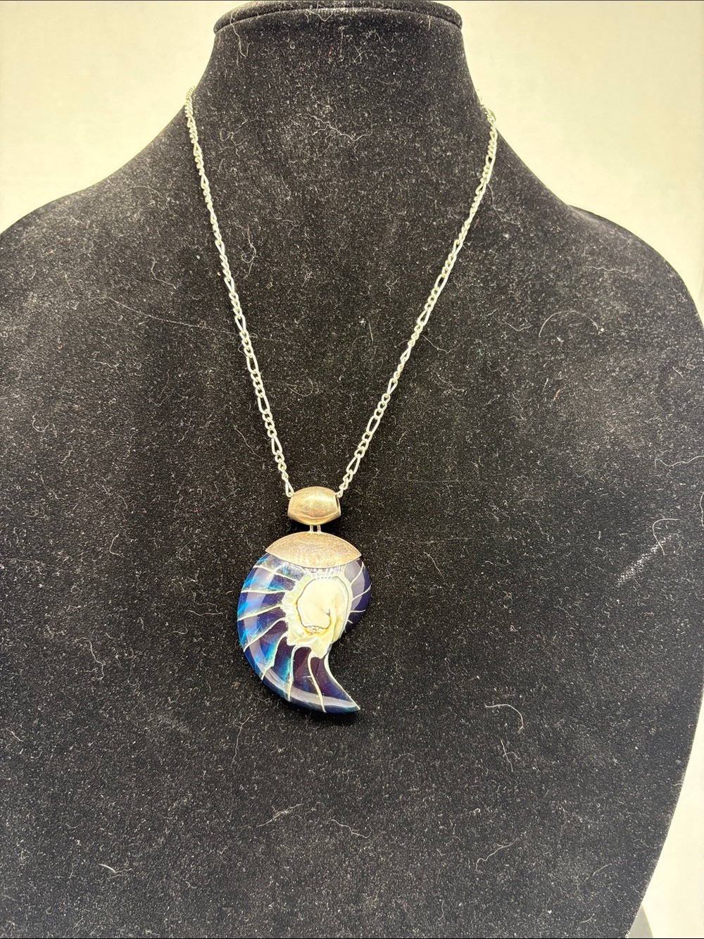 Silver Nautilus Shell Pendant Necklace - Blue Iridescent